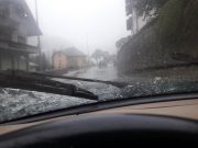 2019 - Jaguar in Friuli (27-28 Aprile) (9/29)